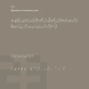 Signatura Monoline Script