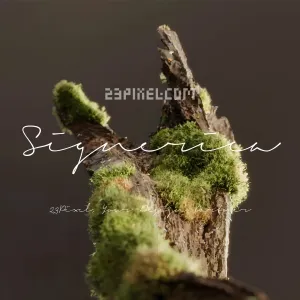 Signerica