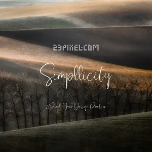 Simpllicity
