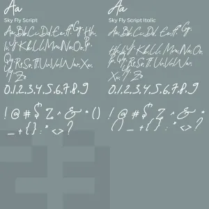 Sky Fly Script
