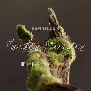 Thoughts Alternates