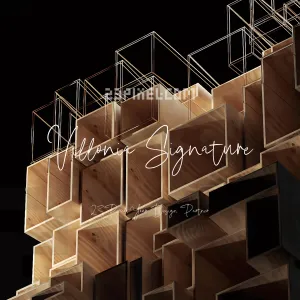 Villonia Signature