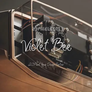 Violet Bee