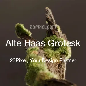 Alte Haas Grotesk