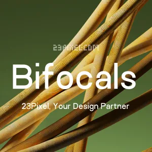 Bifocals