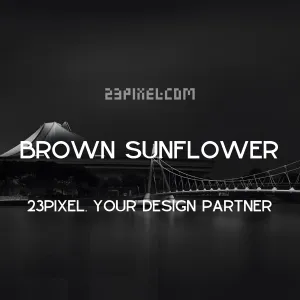 Brown Sunflower