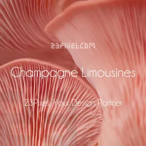 Champagne Limousines