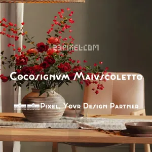 Cocosignum Maiuscoletto