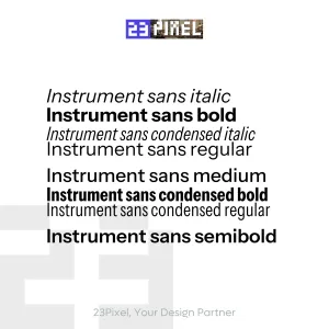 Instrument