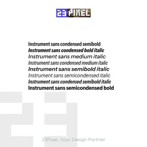 Instrument