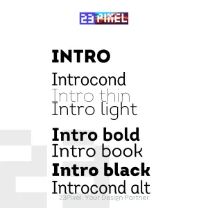 Intro