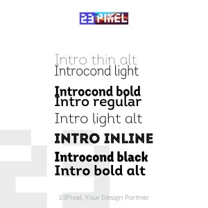 Intro