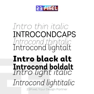 Intro