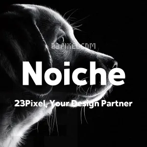 Noiche