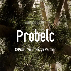 Probelc