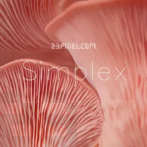 Simplex