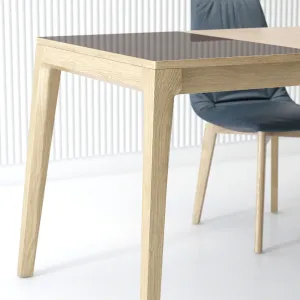 Dining group team mylon