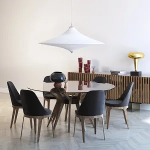 Roche bobois aster