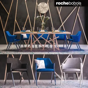 Roche bobois furniture