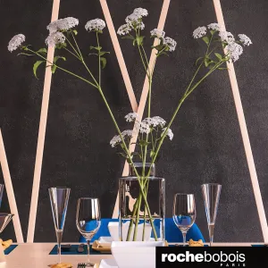 Roche bobois furniture