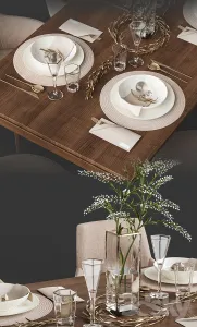 Venjakob alexia chair with dining table et