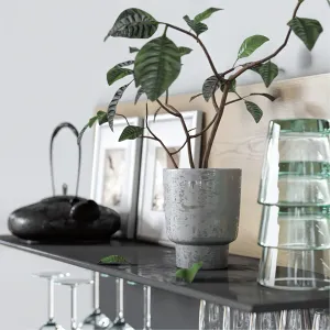 Decorative for kitchen
