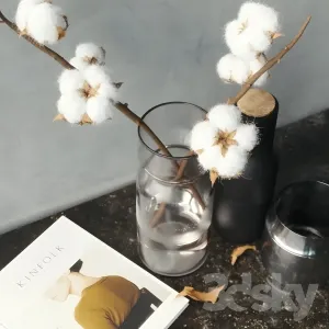Cotton branch