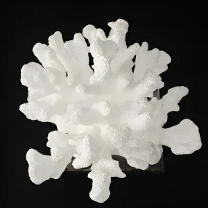 Decoration by kelly hoppen