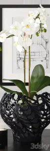 Decoration by kelly hoppen 3