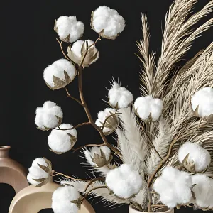 Decoration cotton pampas