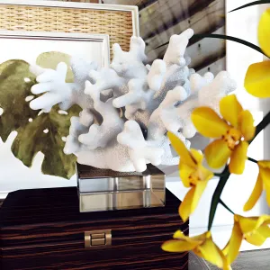 Decoration set cymbidium orchid