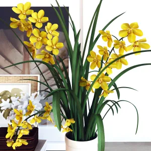Decoration set cymbidium orchid