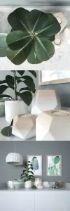 Decorative 12