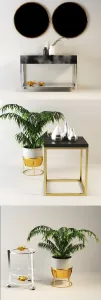 Decorative 156