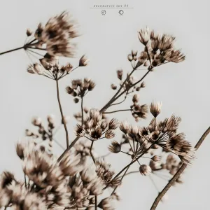 Decorative 166