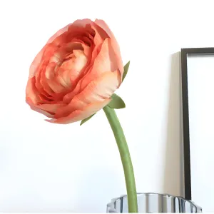 Decorative 179