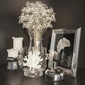Decorative 59