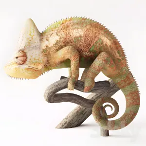 Decorative chameleon