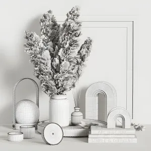 Decorative dried plant