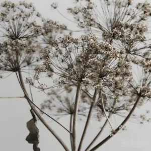 Decorative in a rustic style