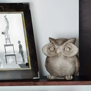Decorative with an owl