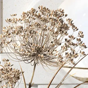Decorative with carex riparia graceful heracleum