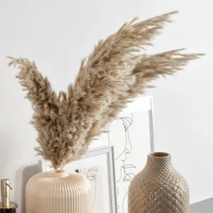 Decorative with dried flowers