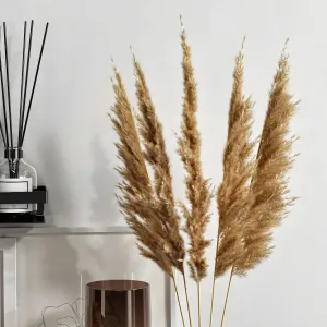 Decorative with dried flowers 3