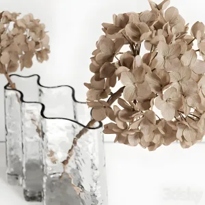 Decorative with dry hydrangea