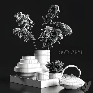 Decorative with dry plants