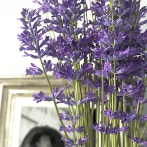 Decorative with lavender