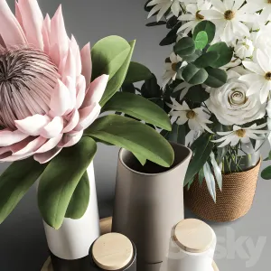 Flower protea roses