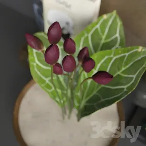 Flower tulips decor