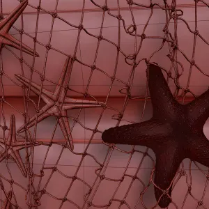 Gifts of the black sea